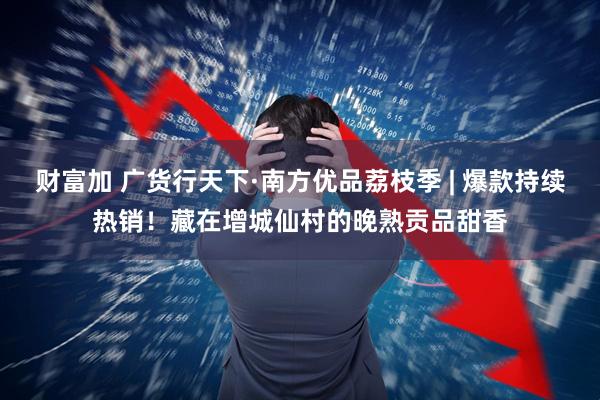 财富加 广货行天下·南方优品荔枝季 | 爆款持续热销！藏在增城仙村的晚熟贡品甜香